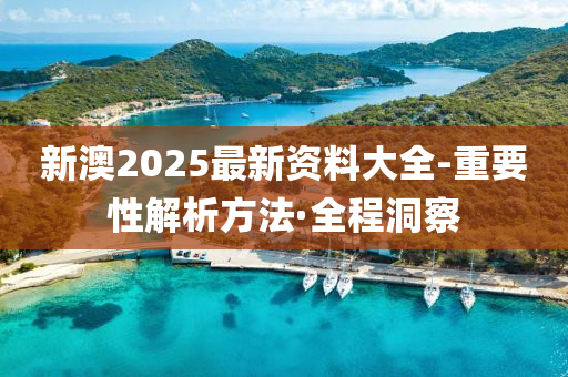 新澳2025最新資料大全-重要性解析方法·全程洞察