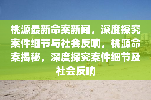 桃源最新命案新聞，深度探究案件細節(jié)與社會反響，桃源命案揭秘，深度探究案件細節(jié)及社會反響