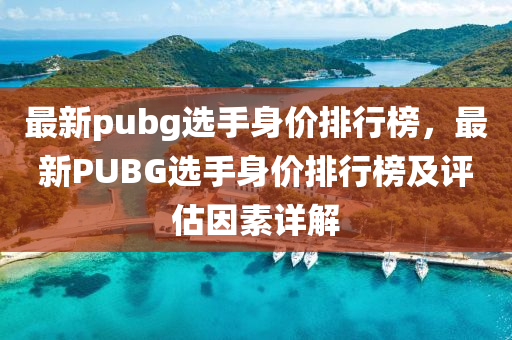 最新pubg選手身價(jià)排行榜，最新PUBG選手身價(jià)排行榜及評估因素詳解