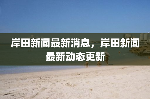 岸田新聞最新消息，岸田新聞最新動態(tài)更新