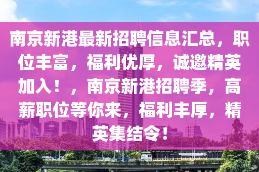 南京新港最新招聘信息匯總，職位豐富，福利優(yōu)厚，誠邀精英加入！，南京新港招聘季，高薪職位等你來，福利豐厚，精英集結(jié)令！