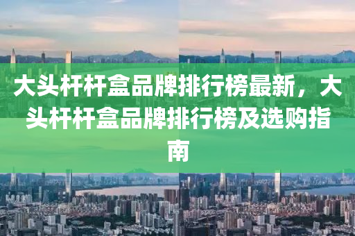 大頭桿桿盒品牌排行榜最新，大頭桿桿盒品牌排行榜及選購指南