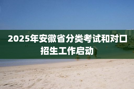 2025年安徽省分類考試和對口招生工作啟動