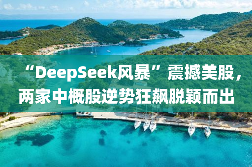 “DeepSeek風(fēng)暴”震撼美股，兩家中概股逆勢(shì)狂飆脫穎而出