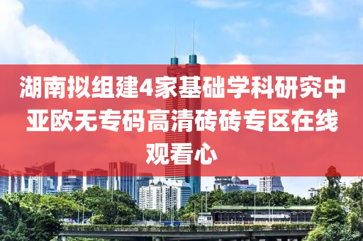 湖南擬組建4家基礎(chǔ)學(xué)科研究中亞歐無專碼高清磚磚專區(qū)在線觀看心