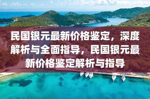 民國銀元最新價格鑒定，深度解析與全面指導(dǎo)，民國銀元最新價格鑒定解析與指導(dǎo)