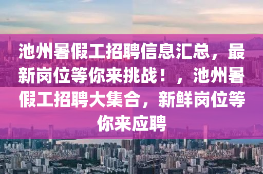 池州暑假工招聘信息匯總，最新崗位等你來挑戰(zhàn)！，池州暑假工招聘大集合，新鮮崗位等你來應(yīng)聘