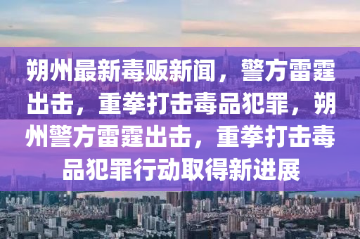 朔州最新毒販新聞，警方雷霆出擊，重拳打擊毒品犯罪，朔州警方雷霆出擊，重拳打擊毒品犯罪行動取得新進展