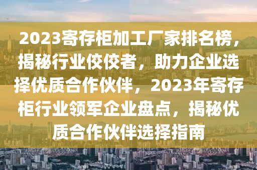 2023寄存柜加工廠家排名榜，揭秘行業(yè)佼佼者，助力企業(yè)選擇優(yōu)質(zhì)合作伙伴，2023年寄存柜行業(yè)領(lǐng)軍企業(yè)盤點，揭秘優(yōu)質(zhì)合作伙伴選擇指南