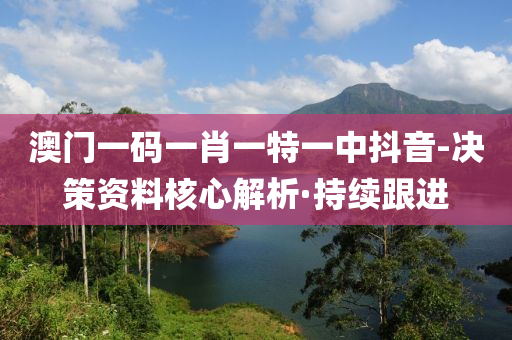 澳門一碼一肖一特一中抖音-決策資料核心解析·持續(xù)跟進