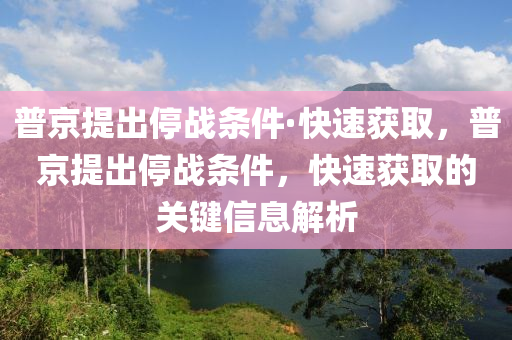 普京提出停戰(zhàn)條件·快速獲取，普京提出停戰(zhàn)條件，快速獲取的關(guān)鍵信息解析