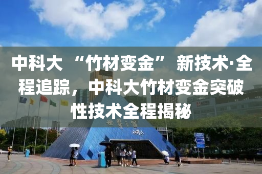 中科大 “竹材變金” 新技術·全程追蹤，中科大竹材變金突破性技術全程揭秘