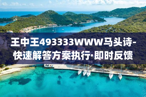 王中王493333WWW馬頭詩-快速解答方案執(zhí)行·即時(shí)反饋