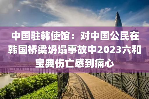 中國駐韓使館：對中國公民在韓國橋梁坍塌事故中2023六和寶典傷亡感到痛心