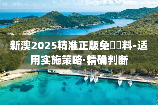 新澳2025精準(zhǔn)正版免費(fèi)資料-適用實(shí)施策略·精確判斷