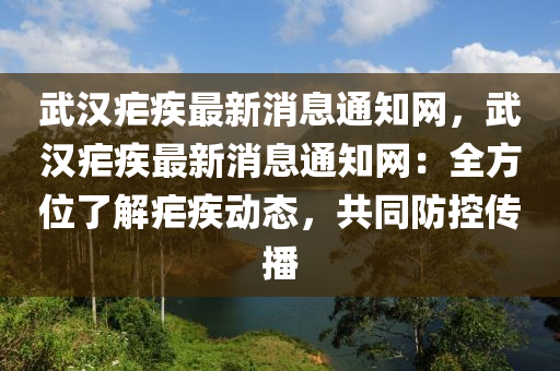 武漢瘧疾最新消息通知網(wǎng)，武漢瘧疾最新消息通知網(wǎng)：全方位了解瘧疾動(dòng)態(tài)，共同防控傳播