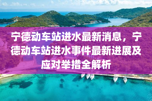 寧德動車站進水最新消息，寧德動車站進水事件最新進展及應(yīng)對舉措全解析