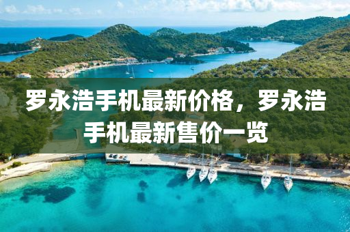 羅永浩手機(jī)最新價格，羅永浩手機(jī)最新售價一覽