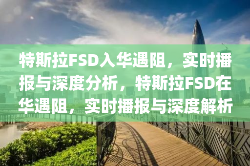 特斯拉FSD入華遇阻，實時播報與深度分析，特斯拉FSD在華遇阻，實時播報與深度解析