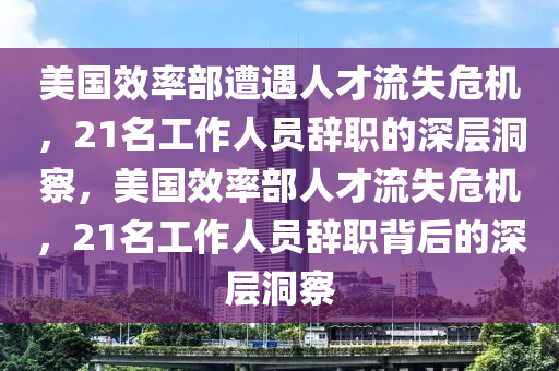 美國效率部遭遇人才流失危機(jī)，21名工作人員辭職的深層洞察，美國效率部人才流失危機(jī)，21名工作人員辭職背后的深層洞察