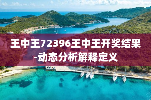 王中王72396王中王開獎結果-動態(tài)分析解釋定義