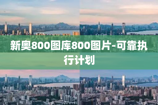 新奧800圖庫(kù)800圖片-可靠執(zhí)行計(jì)劃