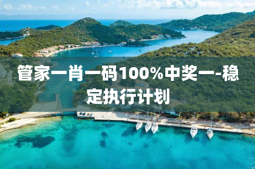 管家一肖一碼100%中獎一-穩(wěn)定執(zhí)行計劃