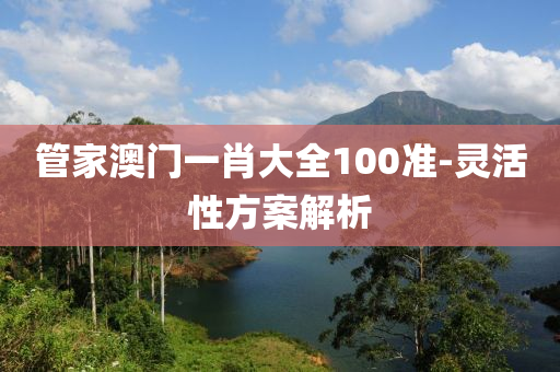 管家澳門(mén)一肖大全100準(zhǔn)-靈活性方案解析