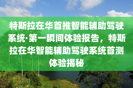 特斯拉在華首推智能輔助駕駛系統(tǒng)·第一瞬間體驗報告，特斯拉在華智能輔助駕駛系統(tǒng)首測體驗揭秘