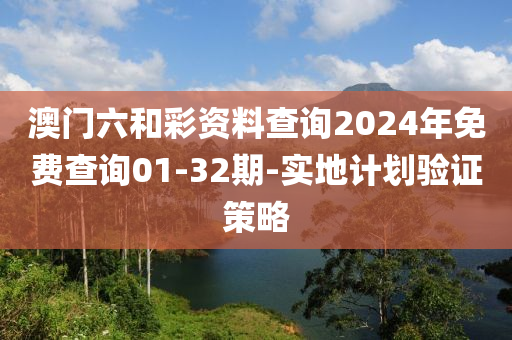 澳門六和彩資料查詢2024年免費查詢01-32期-實地計劃驗證策略