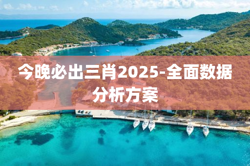 今晚必出三肖2025-全面數(shù)據(jù)分析方案