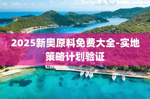 2025新奧原料免費大全-實地策略計劃驗證