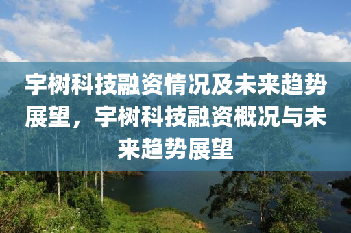 宇樹(shù)科技融資情況及未來(lái)趨勢(shì)展望，宇樹(shù)科技融資概況與未來(lái)趨勢(shì)展望