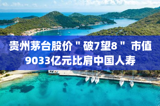 貴州茅臺股價＂破7望8＂ 市值9033億元比肩中國人壽