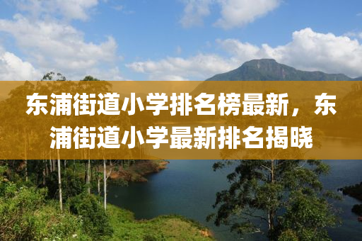 東浦街道小學(xué)排名榜最新，東浦街道小學(xué)最新排名揭曉