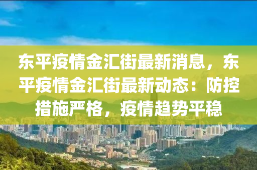 東平疫情金匯街最新消息，東平疫情金匯街最新動態(tài)：防控措施嚴(yán)格，疫情趨勢平穩(wěn)