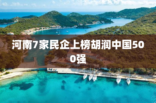 河南7家民企上榜胡潤中國500強