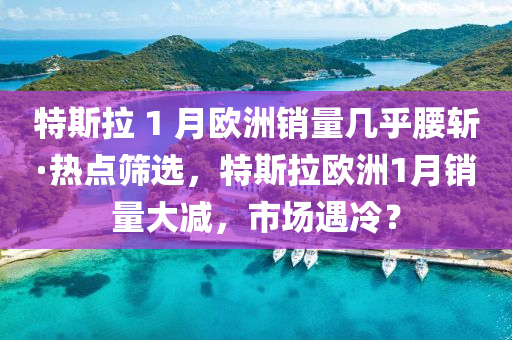 特斯拉 1 月歐洲銷量幾乎腰斬·熱點篩選，特斯拉歐洲1月銷量大減，市場遇冷？