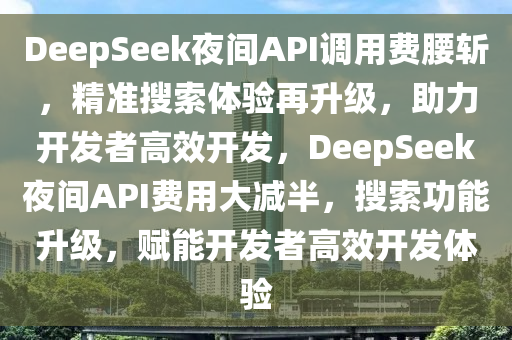 DeepSeek夜間API調(diào)用費腰斬，精準搜索體驗再升級，助力開發(fā)者高效開發(fā)，DeepSeek夜間API費用大減半，搜索功能升級，賦能開發(fā)者高效開發(fā)體驗