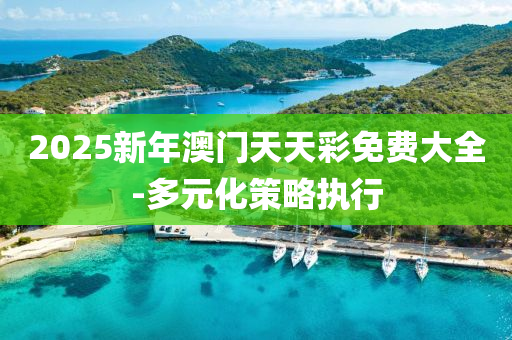 2025新年澳門天天彩免費(fèi)大全-多元化策略執(zhí)行