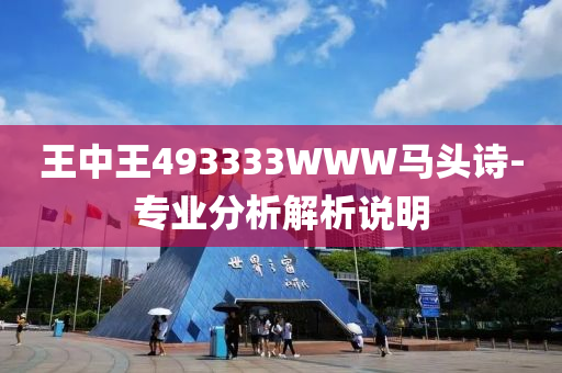 王中王493333WWW馬頭詩-專業(yè)分析解析說明