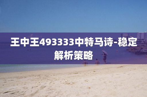 王中王493333中特馬詩-穩(wěn)定解析策略