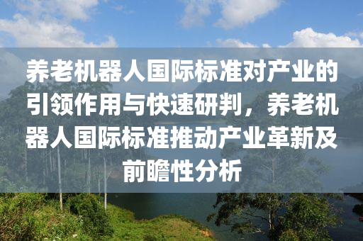 養(yǎng)老機器人國際標準對產(chǎn)業(yè)的引領(lǐng)作用與快速研判，養(yǎng)老機器人國際標準推動產(chǎn)業(yè)革新及前瞻性分析