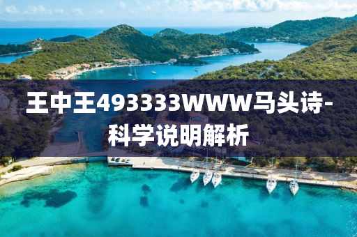 王中王493333WWW馬頭詩-科學(xué)說明解析