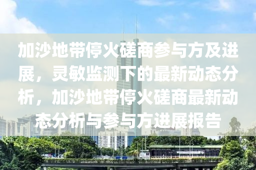 加沙地帶停火磋商參與方及進展，靈敏監(jiān)測下的最新動態(tài)分析，加沙地帶?；鸫枭套钚聞討B(tài)分析與參與方進展報告