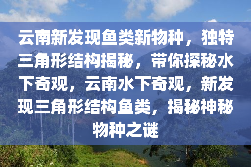 云南新發(fā)現(xiàn)魚類新物種，獨(dú)特三角形結(jié)構(gòu)揭秘，帶你探秘水下奇觀，云南水下奇觀，新發(fā)現(xiàn)三角形結(jié)構(gòu)魚類，揭秘神秘物種之謎