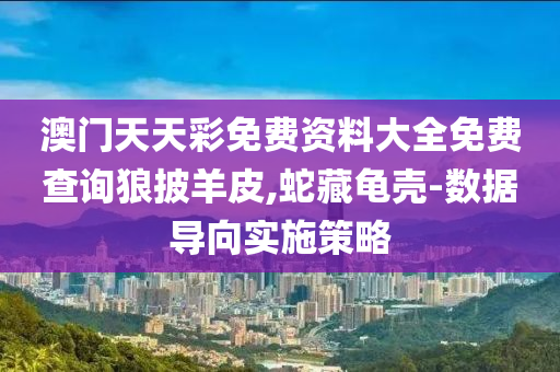 澳門天天彩免費資料大全免費查詢狼披羊皮,蛇藏龜殼-數據導向實施策略