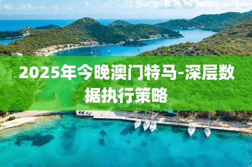 2025年今晚澳門特馬-深層數(shù)據(jù)執(zhí)行策略