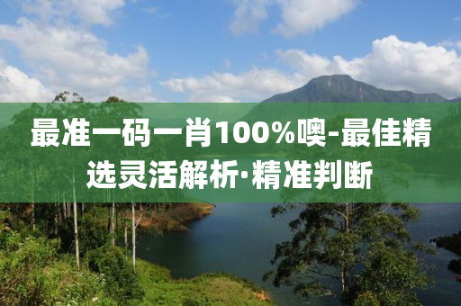 最準一碼一肖100%噢-最佳精選靈活解析·精準判斷