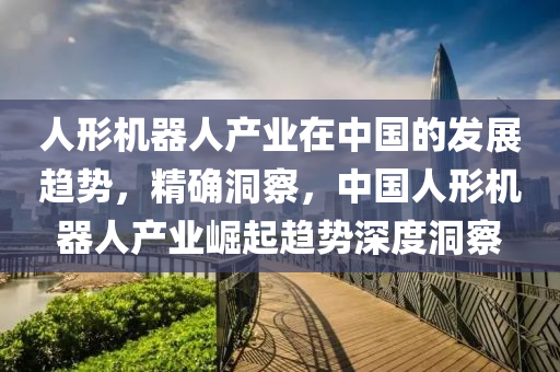 人形機器人產(chǎn)業(yè)在中國的發(fā)展趨勢，精確洞察，中國人形機器人產(chǎn)業(yè)崛起趨勢深度洞察